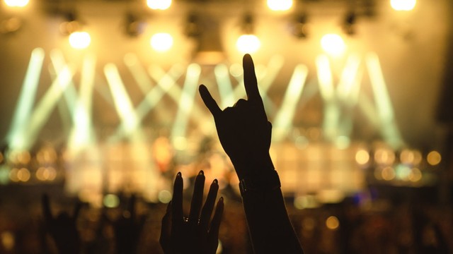 Eine ausgestreckte Hand in der Höhe, die Rockhorns bei einem Livekonzert zeigt.