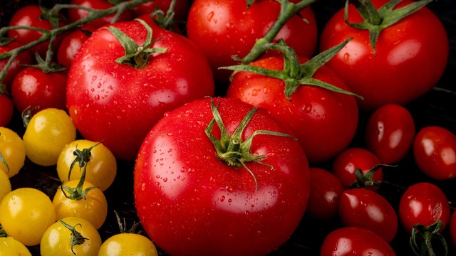 Rote und gelbe Tomaten