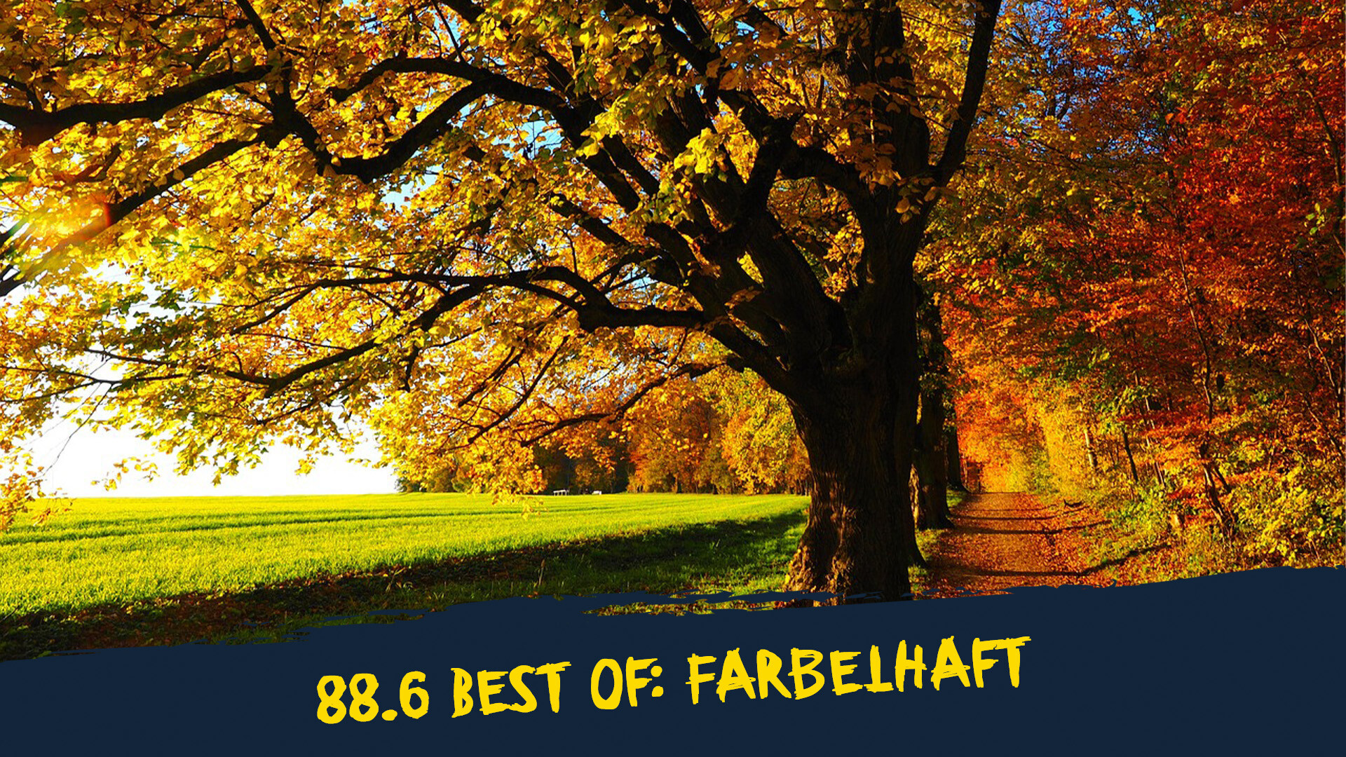 herbstlich bunte Bäume herbstlich bunte Bäume