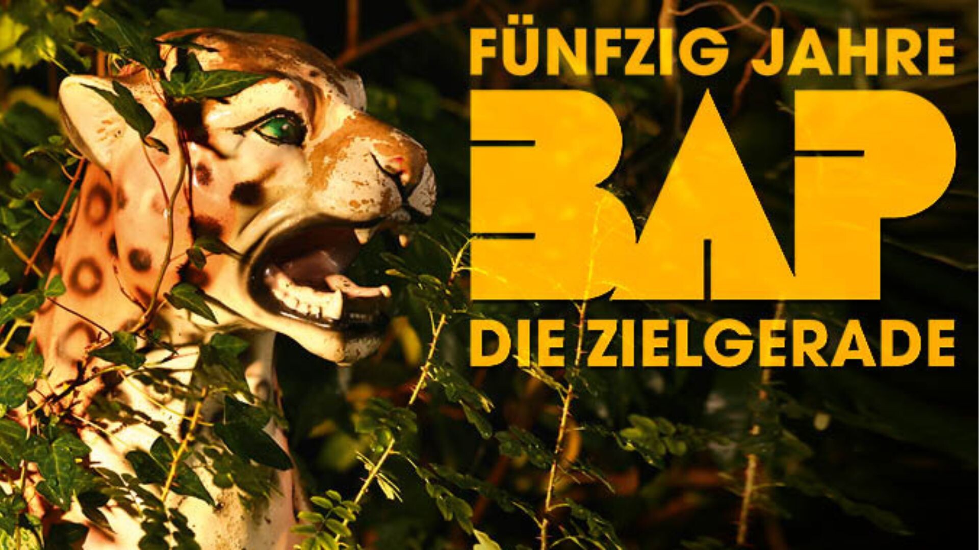 BAP Schriftzug Fünfzig Jahre BAP, Hintergrund mit Blättern und eine Statue eines Leoparden